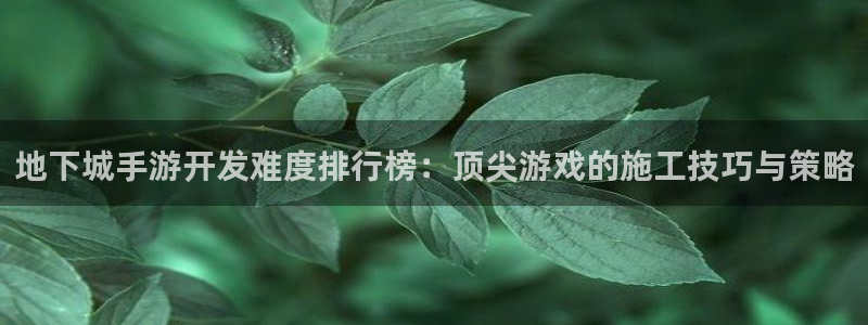 com.pc28.大神：地下城手游开发难度排行榜：顶尖游戏的