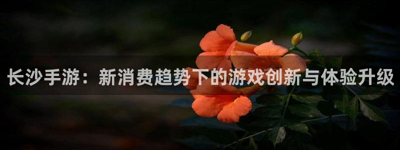 28大神最新版苹果版下载：长沙手游：新消费趋势下的游戏创新与