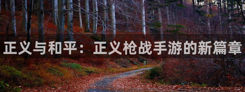 大神吧28预测：正义与和平：正义枪战手游的新篇章