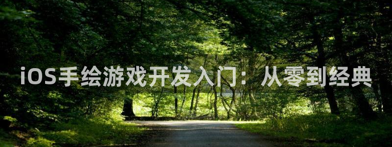 28大神官网网址是什么：iOS手绘游戏开发入门：从零到经典