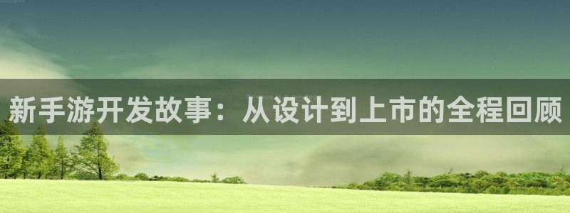 大神网pc28：新手游开发故事：从设计到上市的全程回顾