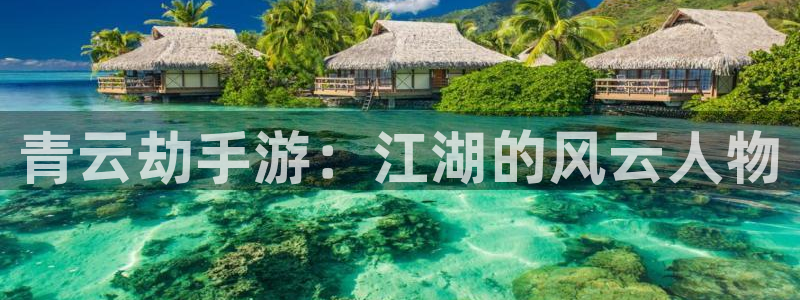 大神pc28预测网：青云劫手游：江湖的风云人物