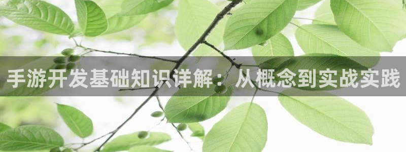 28大神下载：手游开发基础知识详解：从概念到实战实践