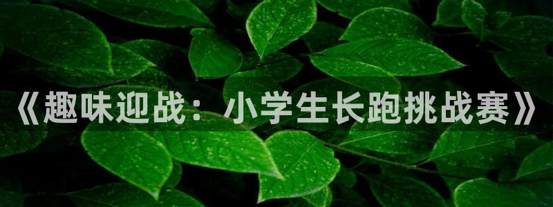 k1体育下载链接：《趣味迎战：小学生长跑挑战赛》