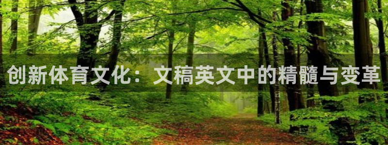 k1体育十年平台：创新体育文化：文稿英文中的精髓与变革