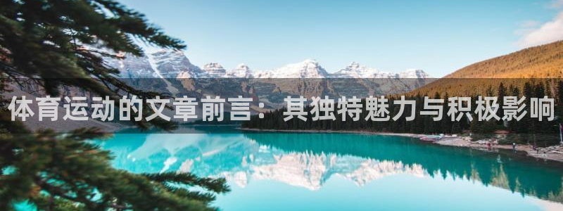k1体育 十年品牌：体育运动的文章前言：其独特魅力与积极影响