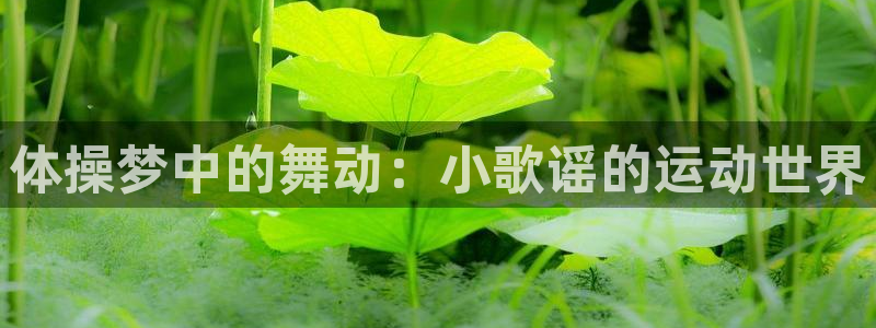 k1体育十年品牌值得信赖：体操梦中的舞动：小歌谣的运动世界