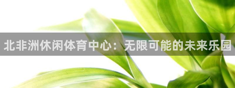 k1体育十年平台：北非洲休闲体育中心：无限可能的未来乐园