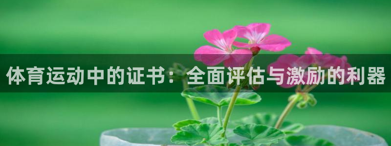 k1体育app下载链接：体育运动中的证书：全面评估与激励的利器