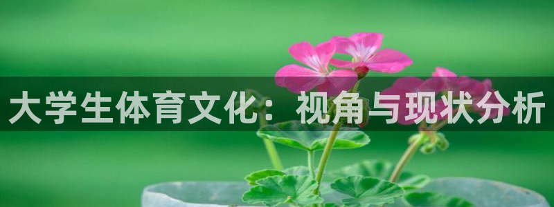 k1体育十年品牌值得信赖：大学生体育文化：视角与现状分析