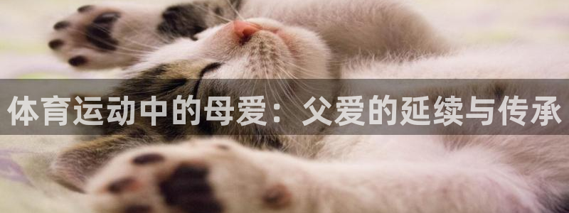 k1体育十年品牌值得信赖：体育运动中的母爱：父爱的延续与传承