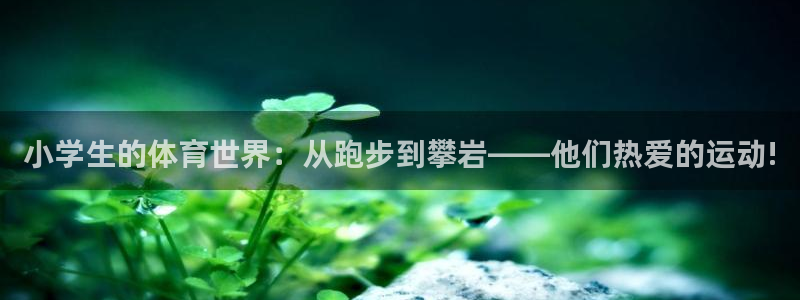 k1体育十年平台：小学生的体育世界：从跑步到攀岩——他们热爱的运动!