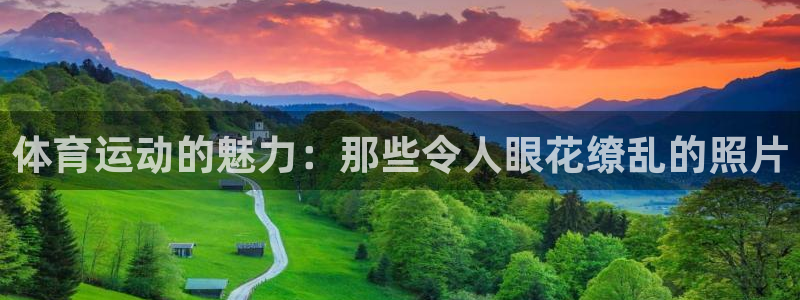 k1体育十年登录入口：体育运动的魅力：那些令人眼花缭乱的照片