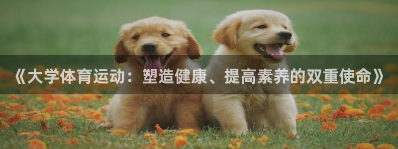 k1体育链接：《大学体育运动：塑造健康、提高素养的双重使命》