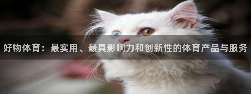 k1体育下载链接：好物体育：最实用、最具影响力和创新性的体育产品与服务